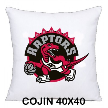 COJIN 40X40 TORONTO RAPTORS DECORACION HOGAR REGALOS