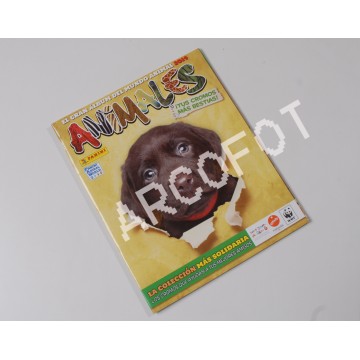 ANIMALES - El gran álbum del mundo animal 2014 - Panini