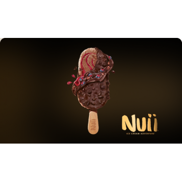 Caja de Helados Nui Chocolate negro con Arándanos nórdicos (20Uds) - NESTLE