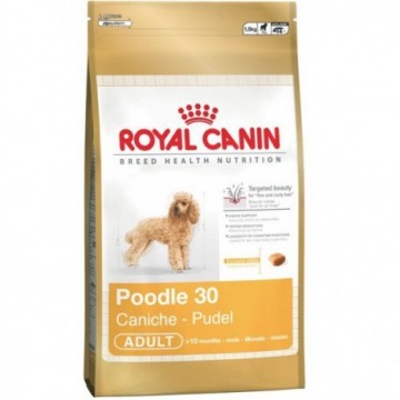 Royal Canin Poodle 30 1,5 Kg