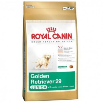 Royal Canin Golden Retriever Junior 29 12 Kg
