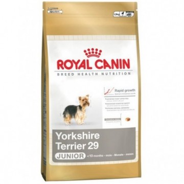 Royal Canin Yorkshire Terrier Junior 29 1,5 Kg