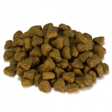 Arquivet Dog Adult Mini / Pollo Y Arroz 3 Kg