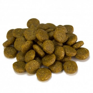 Arquivet Dog Sensitive / Salmón Y Patatas 3 Kg