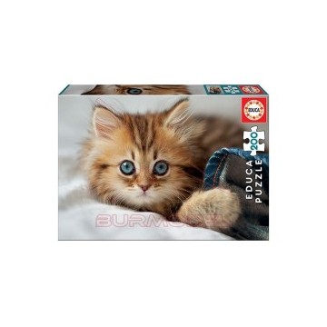 Puzzle 200 piezas Gatito.