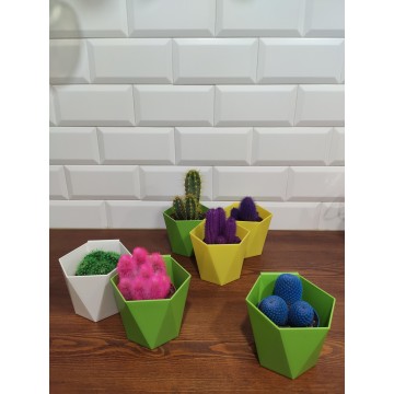 Cactus de colores variados con maceta colgante