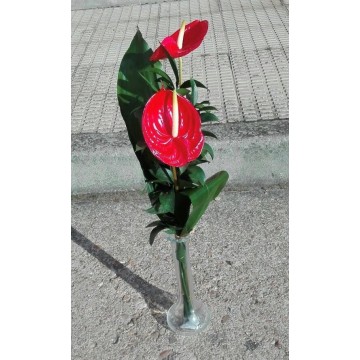 Detalle 2 anthurium en vidiro