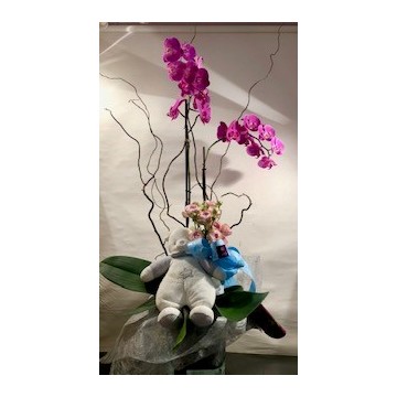 Orquidea con muñeco y vidrio