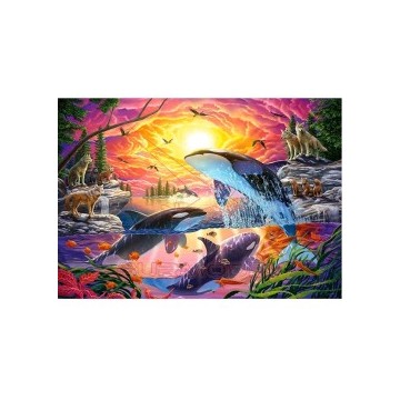 Puzzle 4000 piezas Orcas y...