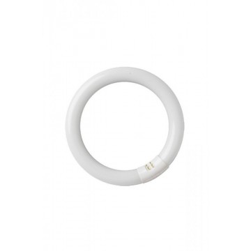 Tubo fluoresc. circular t9...