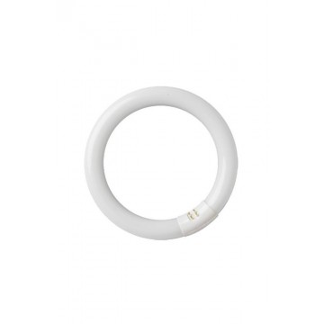 Tubo fluoresc. circular t9...