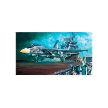 Maqueta avión F14 A Navy...