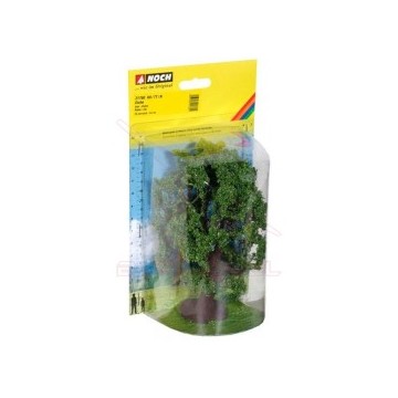 Roble