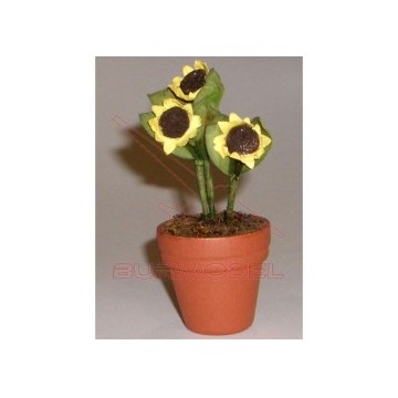 Girasoles
