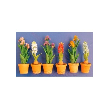 Maceta con flores
