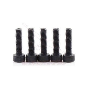 Tornillos M3*25