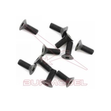 Tornillo cónico M4x6 (10 unds)