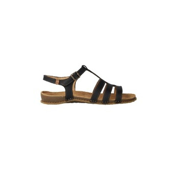 El Naturalista N5803...