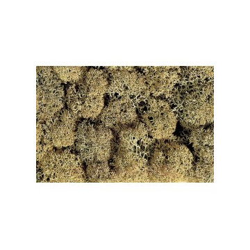 Musgo decorativo gris piedra