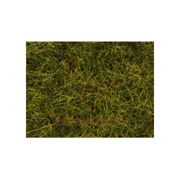 Hierbas salvajes XL pradera