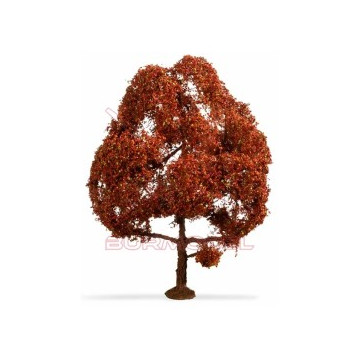 Haya Roja 15cm
