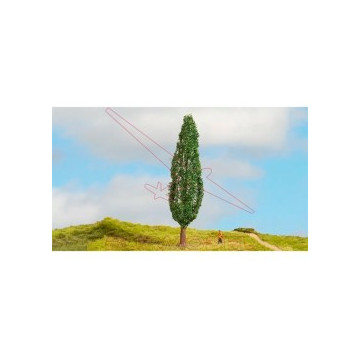 Álamo 18cm