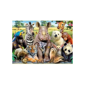 Puzzle 300 piezas Foto de...