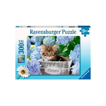 Puzzle 300 piezas XXL Gatito