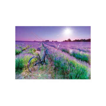 Puzzle Bicicleta campo...