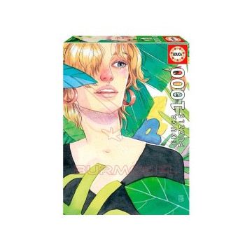 Puzzle 1000 piezas...