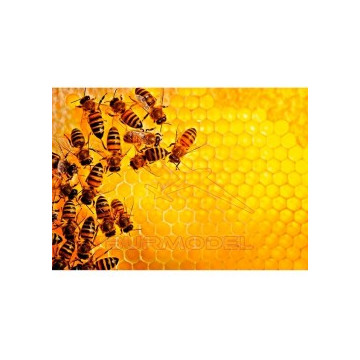 Puzzle 1000 piezas...