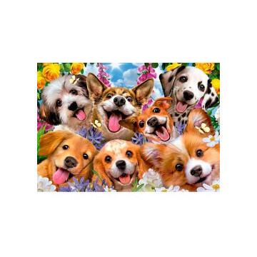 Puzzle 1000 piezas Selfie...