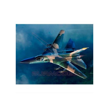 Maqueta avión USAF F-111A...