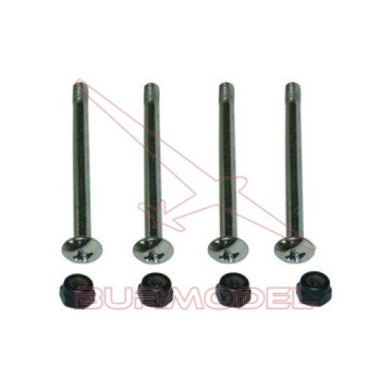 Tornillos Ejes GT21