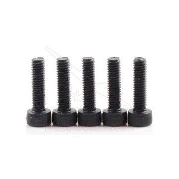 Tornillos M3*25