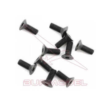 Tornillo cónico M4x6 (10 unds)