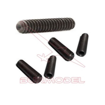 Prisionero M3x10 (10 unds)