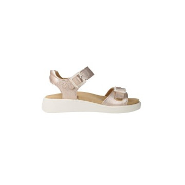 Ara Shoes 12-21442...