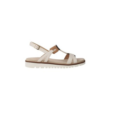 Ara 12-28136 Kent Sports...