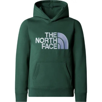 THE NORTH FACE - Sudadera...