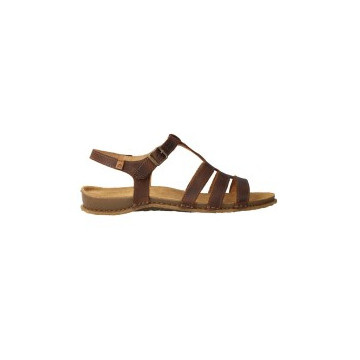 El Naturalista N5803...