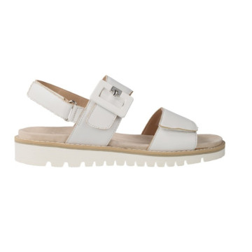 Ara Shoes 12-28134...
