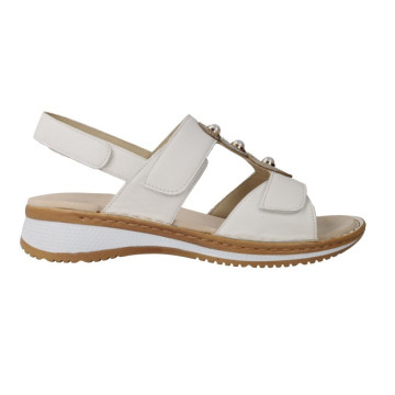 Ara 12-29014 Hawaii 2.0...