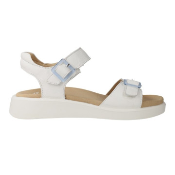 Ara Shoes 12-21442...