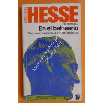 HERMANN HESSE - EN EL BALNEARIO
